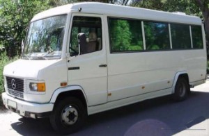 MERCEDES BENZ TRUCK Vario