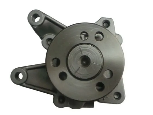 Насос ГУР 54126 GKN-Spidan