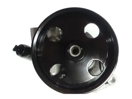 Насос ГУР 54589 GKN-Spidan