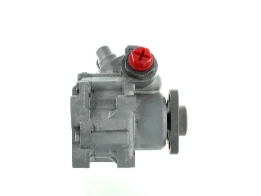 Насос ГУР 52667 GKN-Spidan