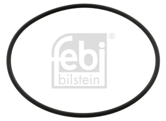 Прокладка водяної помпи 04745 Febi