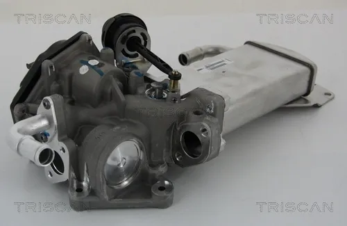 Радіатор системи EGR рециркуляції вихлопних газів 881329303 Triscan