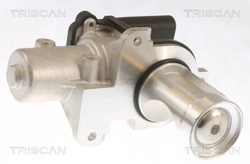 Клапан ЄГР 881329101 Triscan