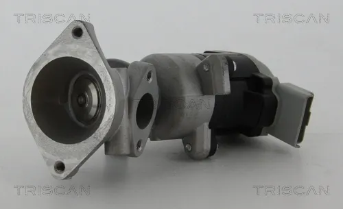 Клапан ЄГР 881317020 Triscan