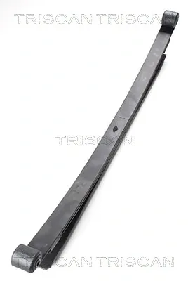 Ресори задні 876523021 Triscan