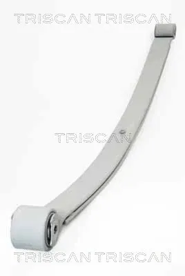 Ресори задні 876510007 Triscan