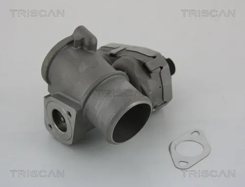 Клапан ЄГР 881316101 Triscan