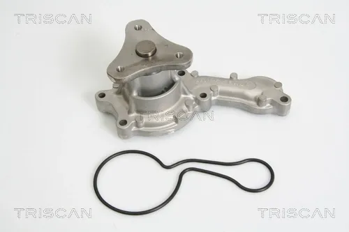 Помпа 860042015 Triscan