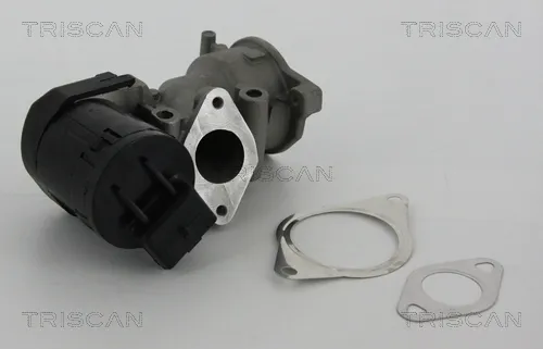 Клапан ЄГР 881310001 Triscan