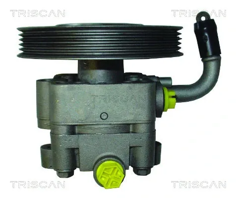 Насос ГУР 851542606 Triscan
