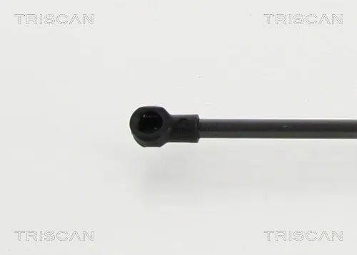Амортизатор багажника 8710292101 Triscan