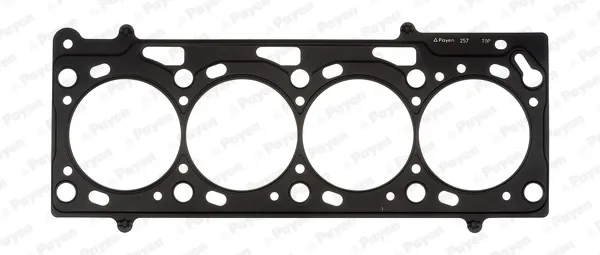 Прокладка ГБЦ AC5280 Payen