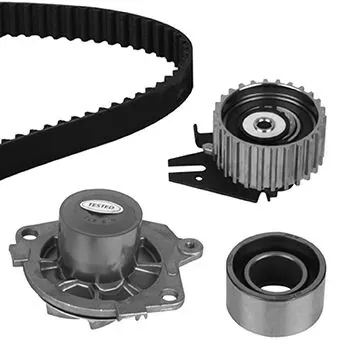 Комплект ГРМ 3006723 Metelli
