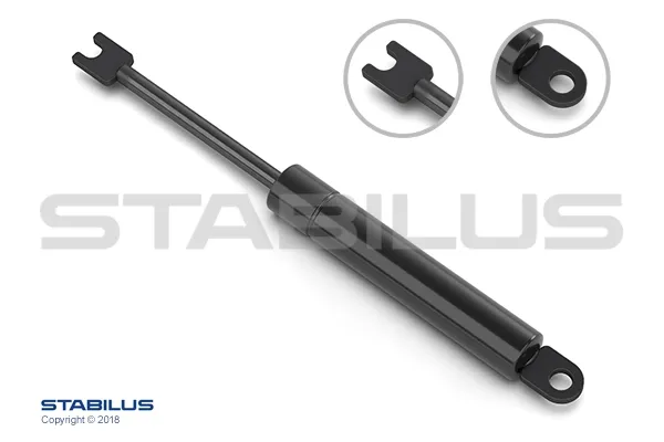  113069 Stabilus