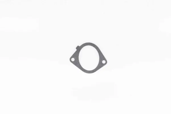 Прокладка дросельної заслінки Fiat Ducato II