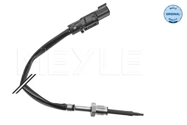 Датчик температури відпрацьованих газів (ВГ), клапан EGR DIN81043 Dinex