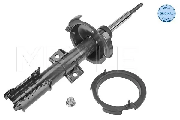 Амортизатор передній 7523G Magneti Marelli