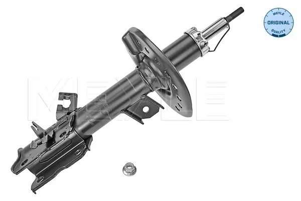 Амортизатора передній лівий Renault Koleos HY0