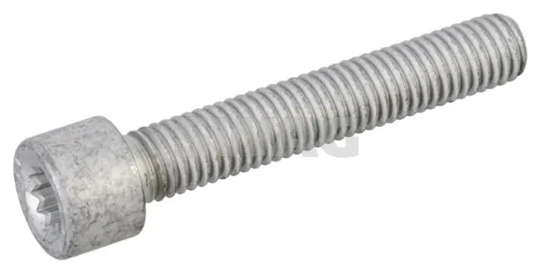 Болт/гайка кріплення 30860001 Swag