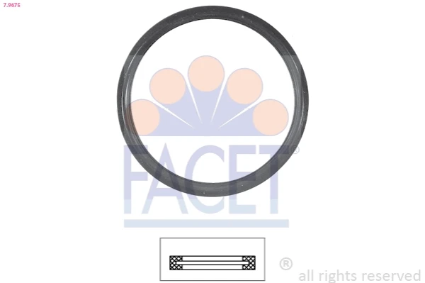 Прокладка термостата 79675 Facet