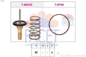 78823 FACET