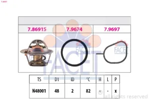 78691 FACET