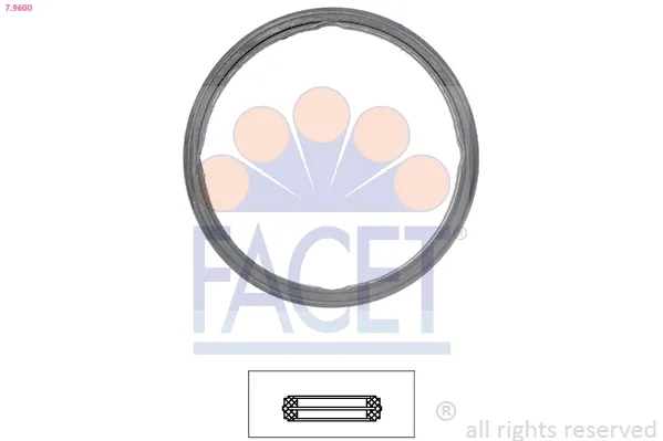 Прокладка термостата 79600 Facet