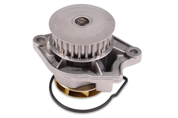 Помпа P541 Hepu