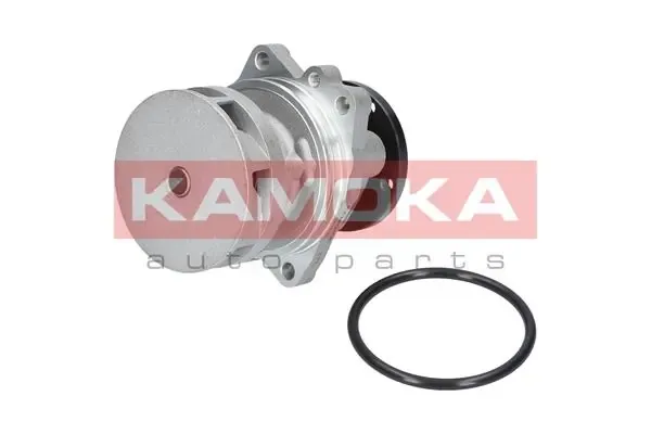 Помпа T0059 Kamoka