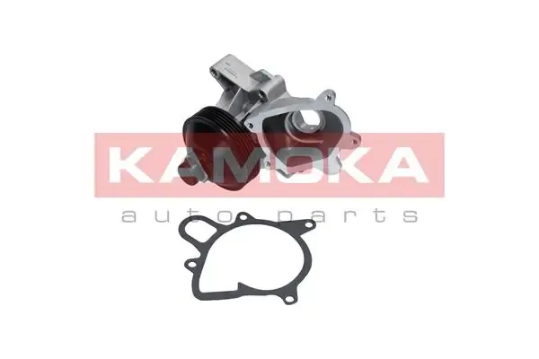 Помпа T0064 Kamoka