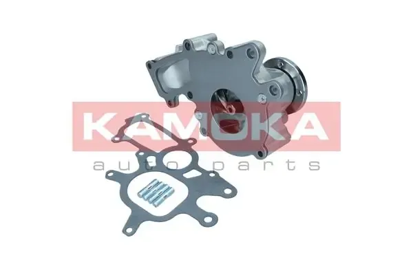 Помпа T0267 Kamoka