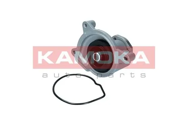 Помпа T0021 Kamoka