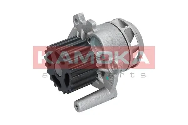 Помпа T0025 Kamoka