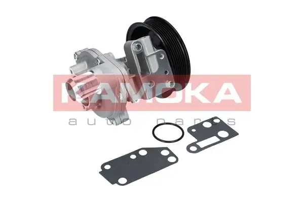 Помпа T0142 Kamoka