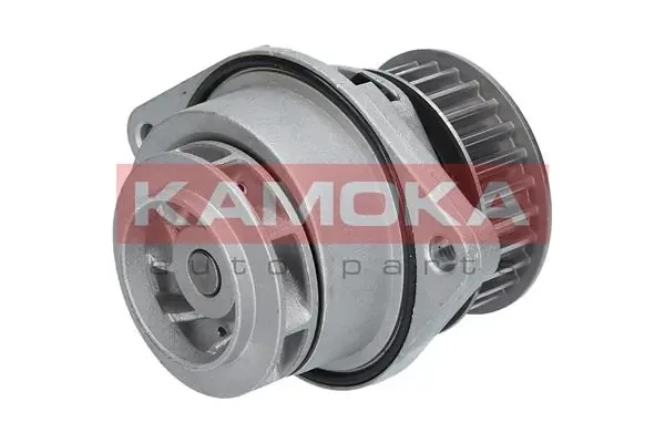 Помпа T0024 Kamoka