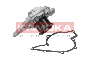 T0040 KAMOKA