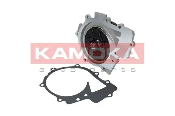 Помпа T0203 Kamoka