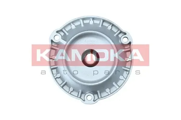  209372 Kamoka