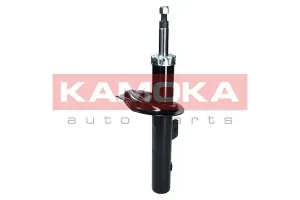 2001060 KAMOKA