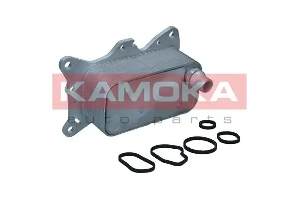  7730143 Kamoka