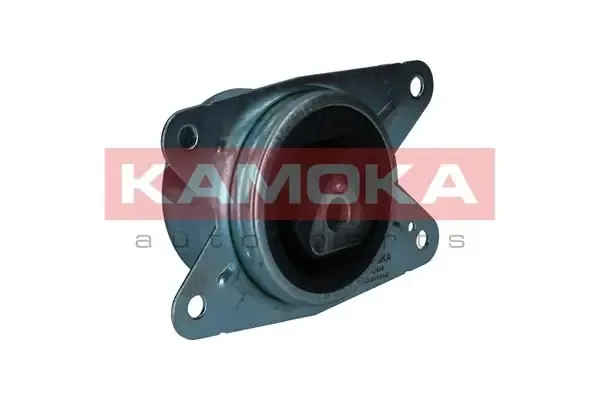  890494 Kamoka