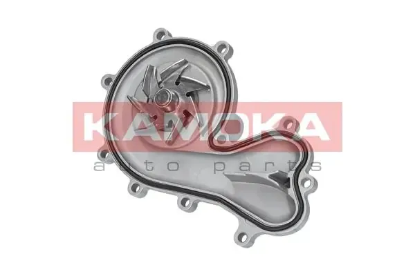 Помпа T0036 Kamoka