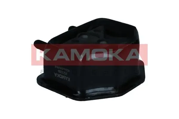  890508 Kamoka