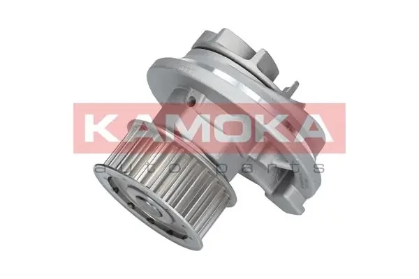 Помпа T0069 Kamoka