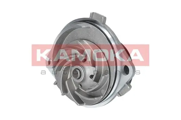 Помпа T0111 Kamoka