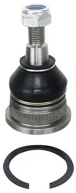 Кульова опора, нижня D110199 Denckermann