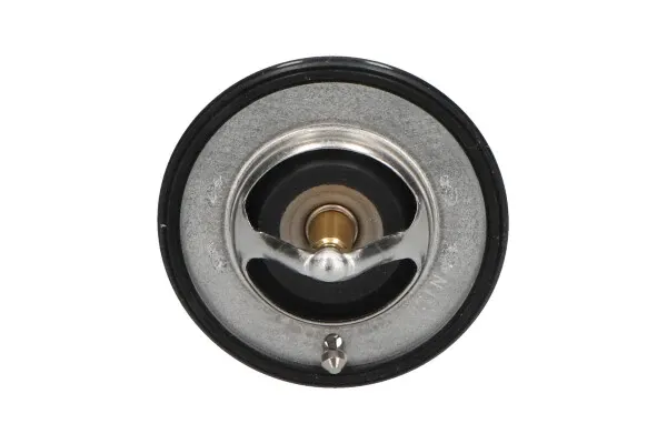 Термостат TH5516 Kavo Parts