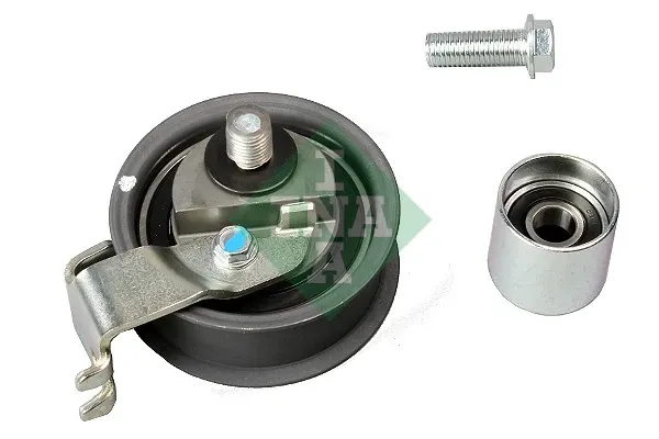 Комплект ГРМ 530034409 INA