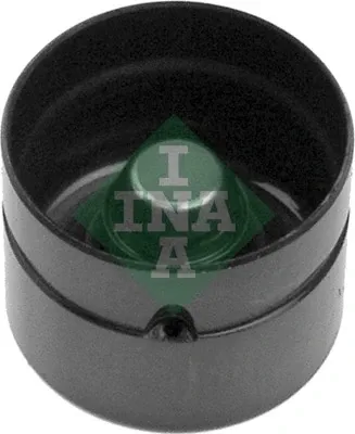 Гідрокомпенсатор 420008010 INA