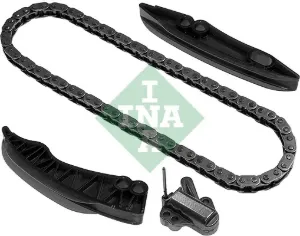 559003110 INA